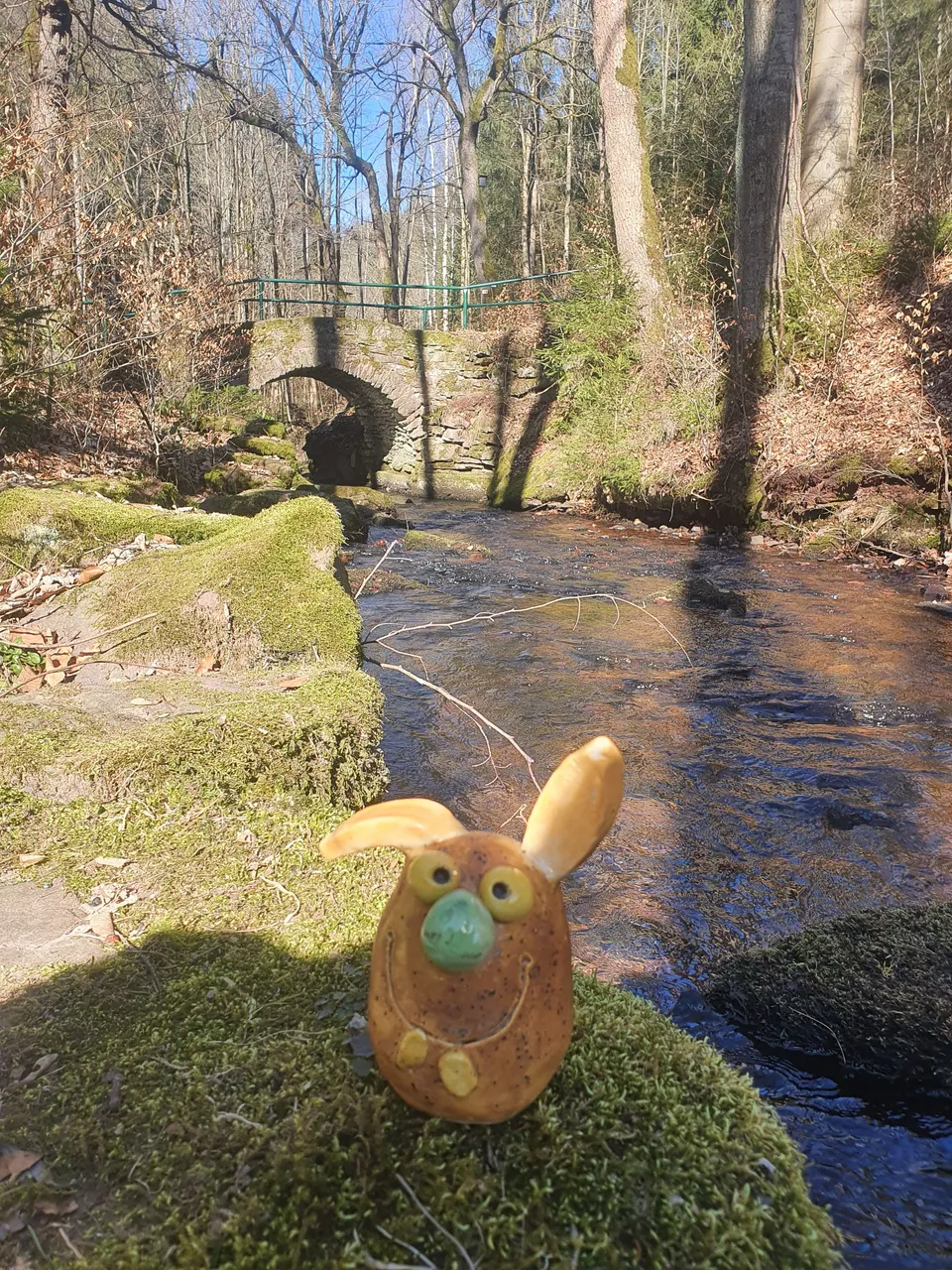 20220313_135113.jpg