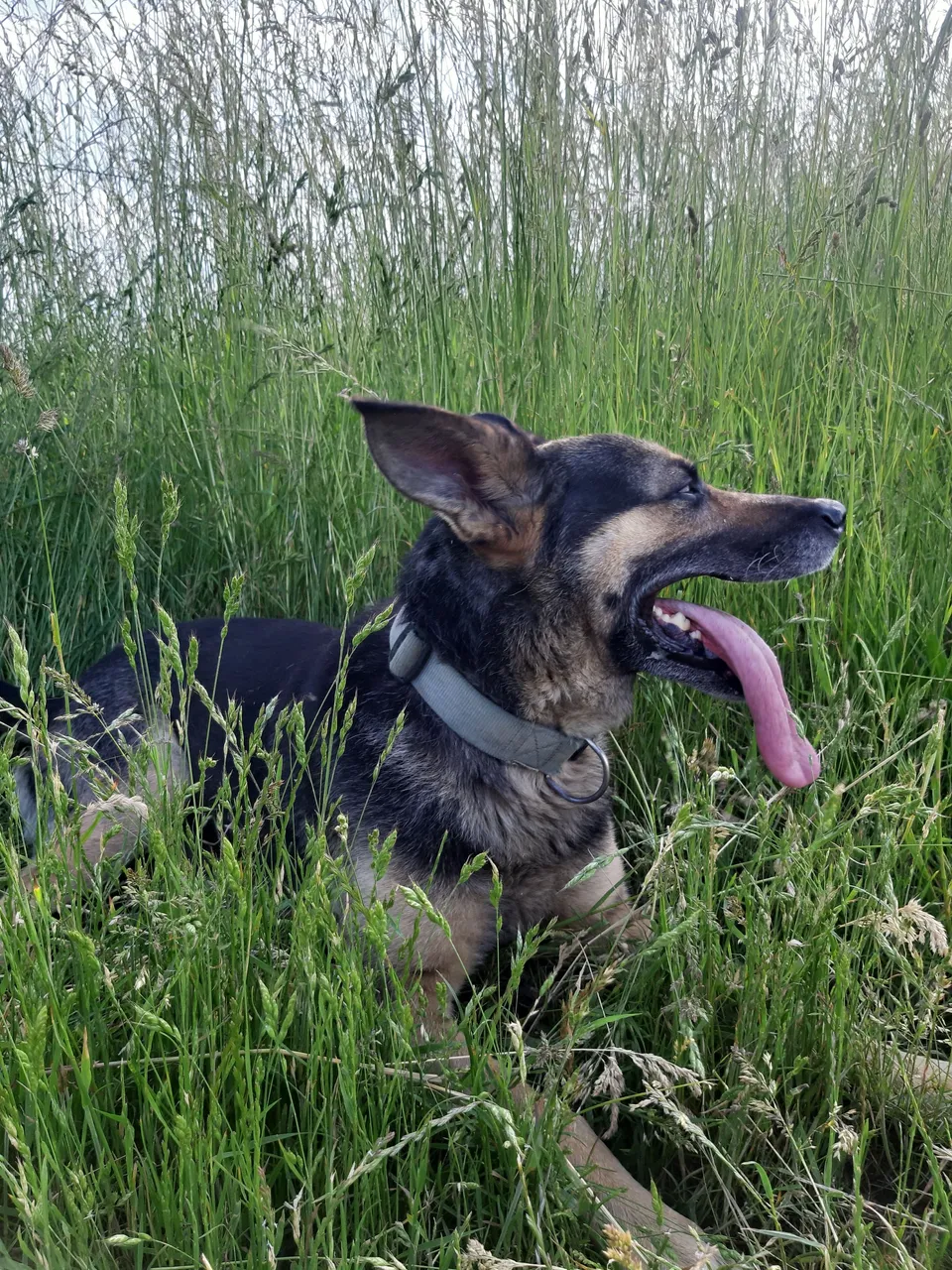 20210615_172940.jpg