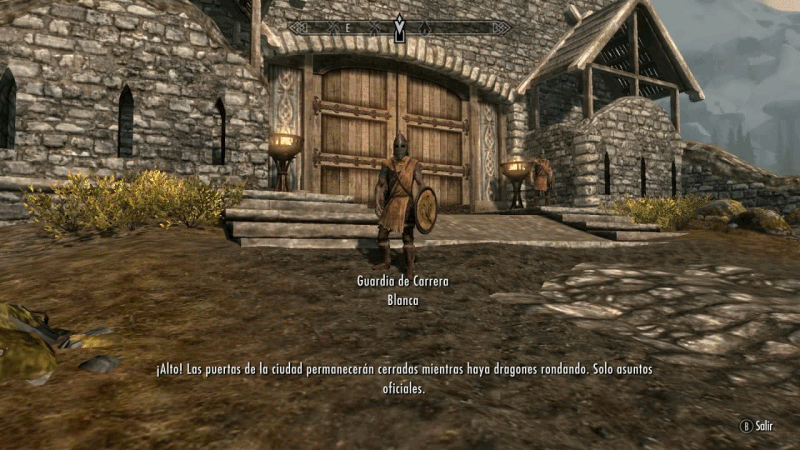 Skyrim GIF 4.gif