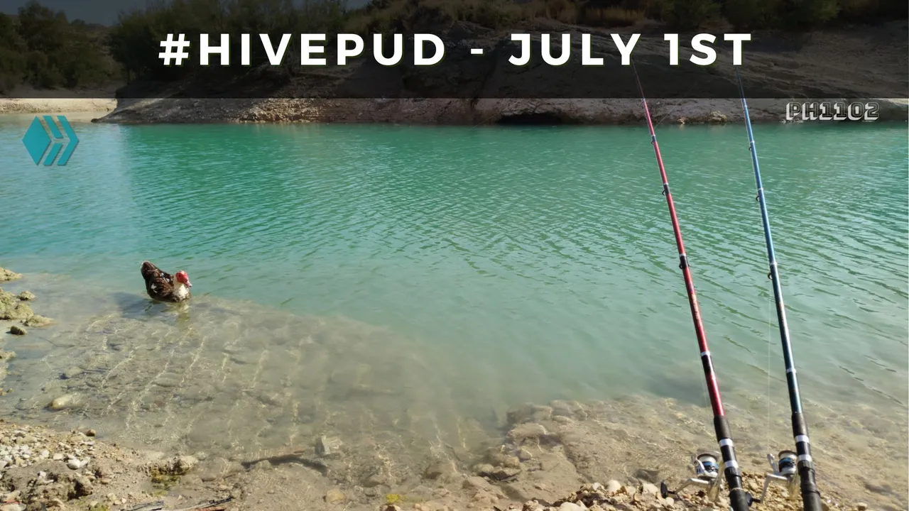 HivePUD-July-2025.jpg