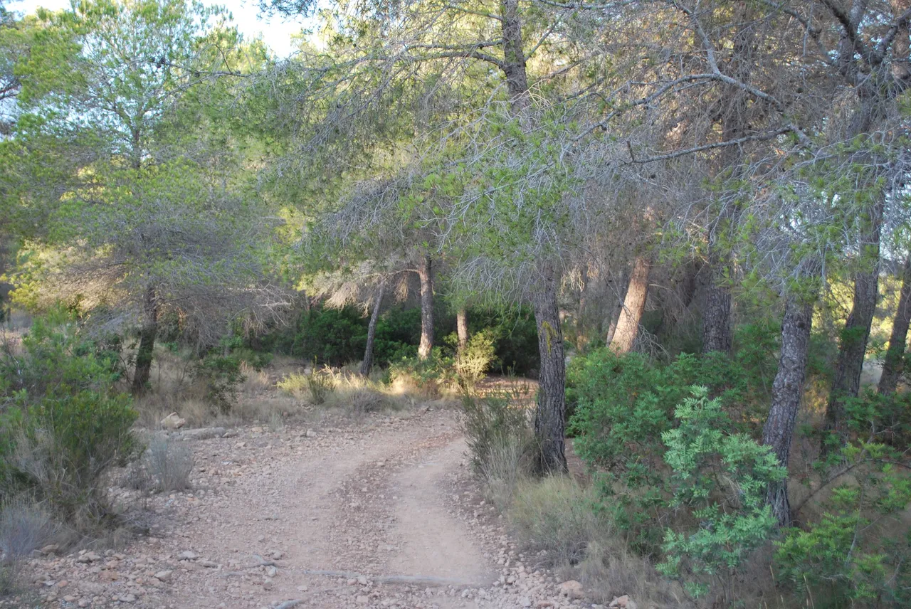 07.JPG