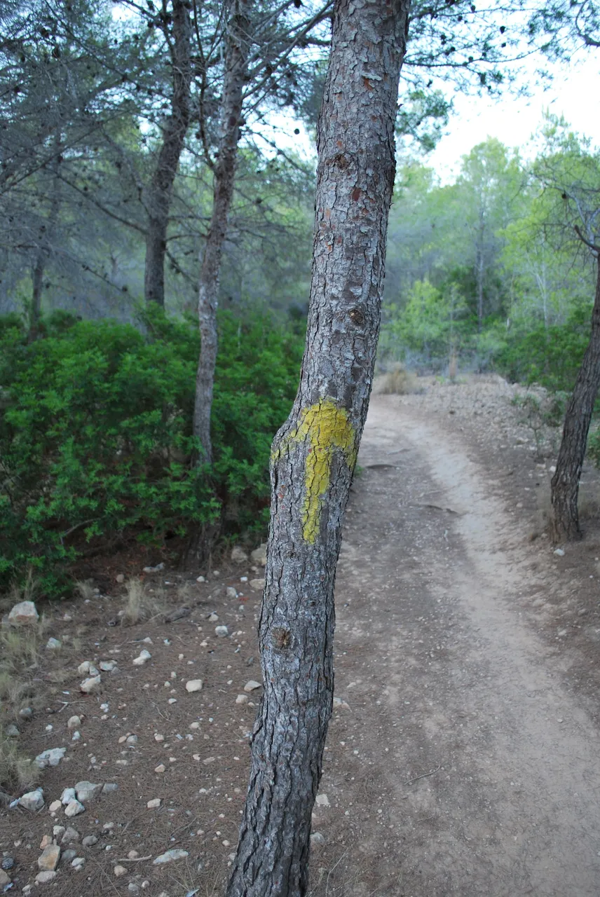 04.JPG