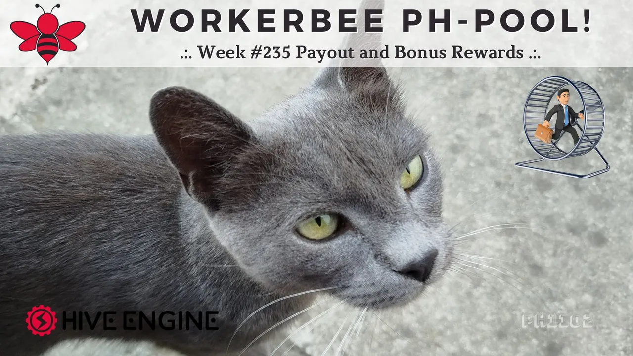 WorkerBee Pool 235.jpg