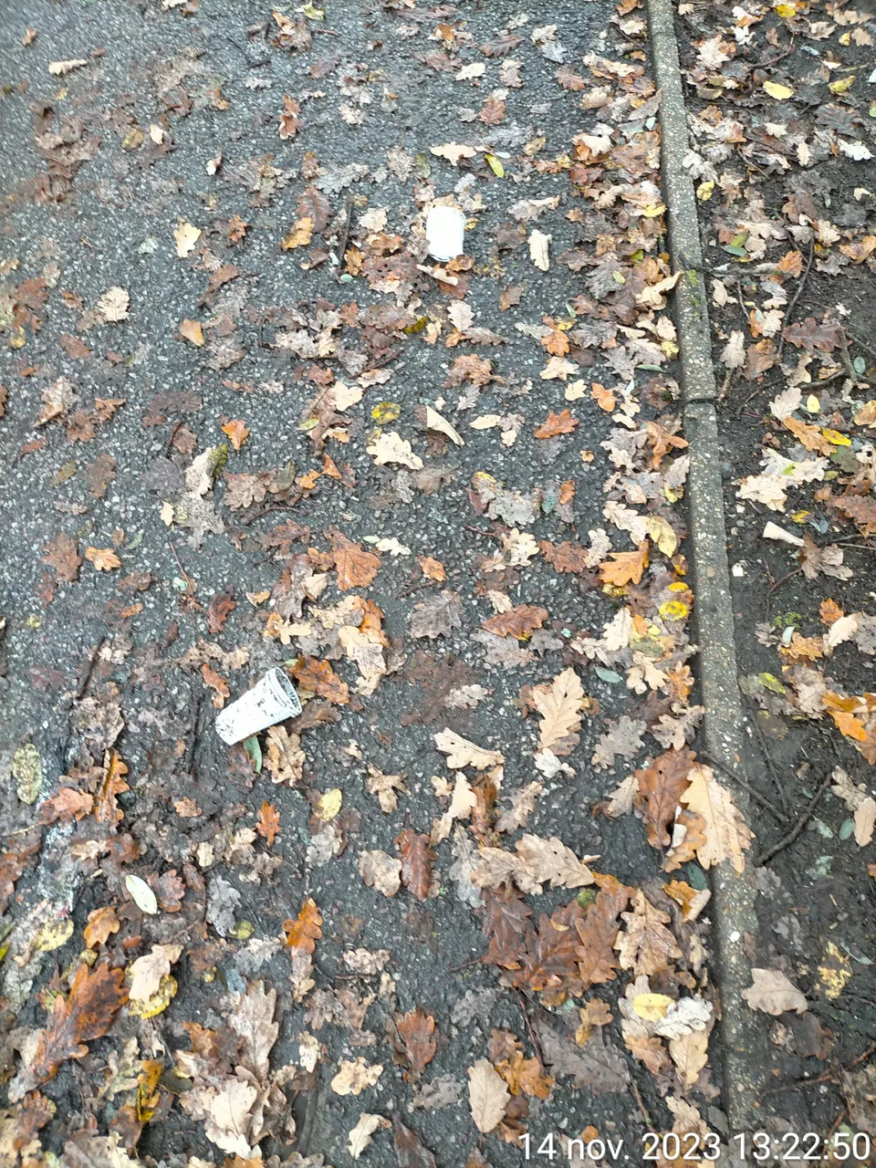 TimePhoto_20231114_132251.jpg