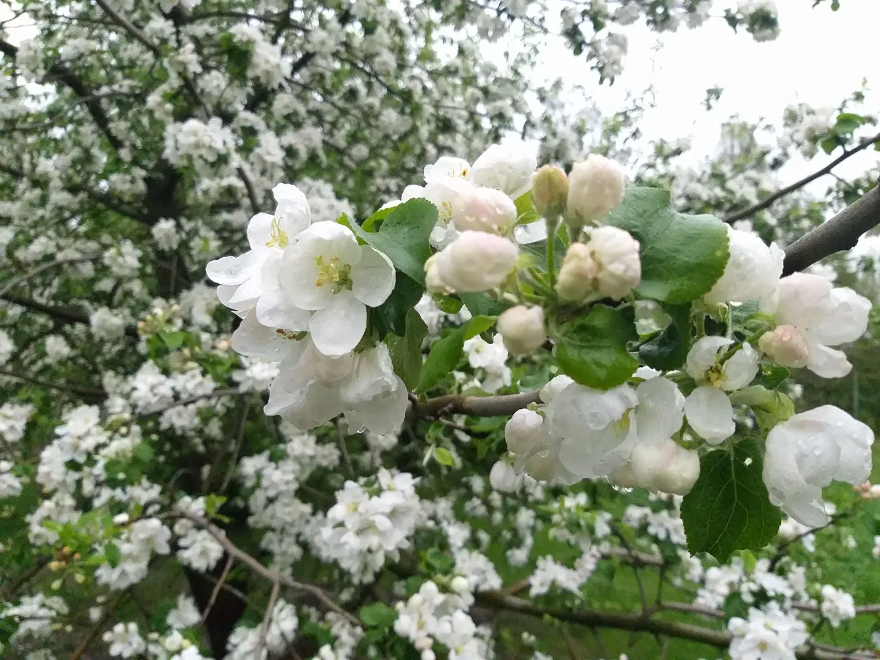 20190501_161227.jpg