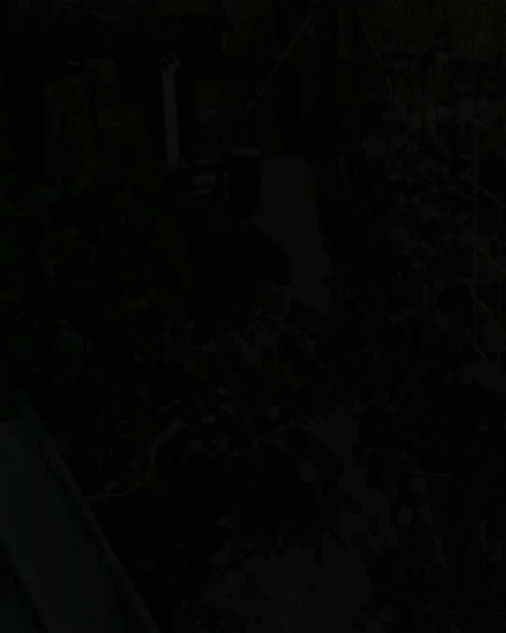 Sin título - Secuencia 01 1 (2).gif