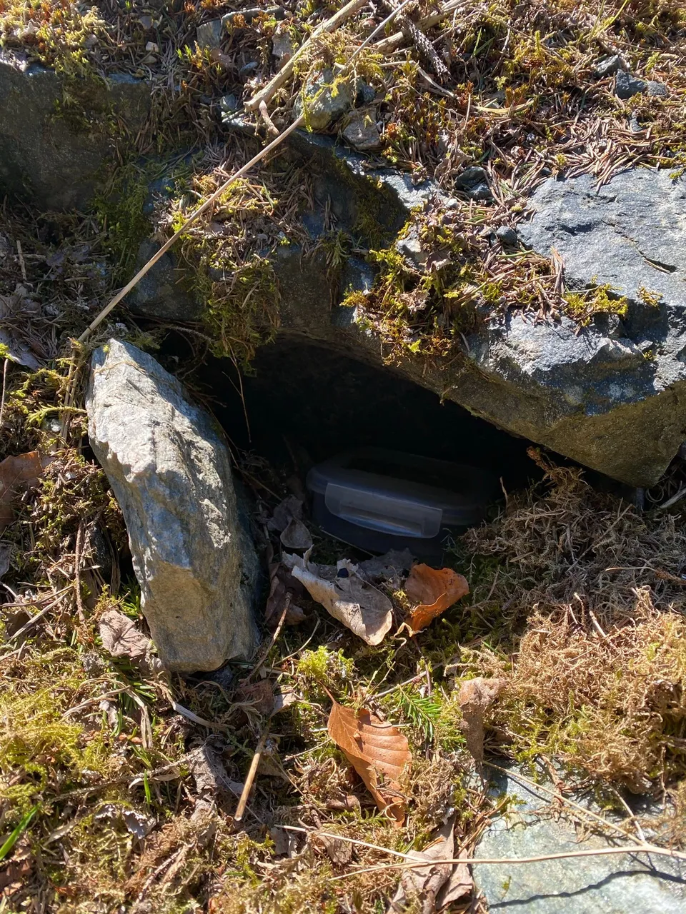 Hidden underneath some rocks. This is a classic hiding spot.