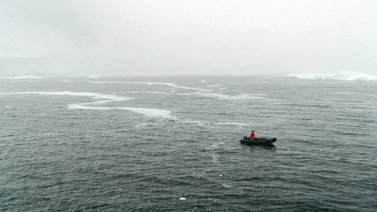 _DSC2014.jpg