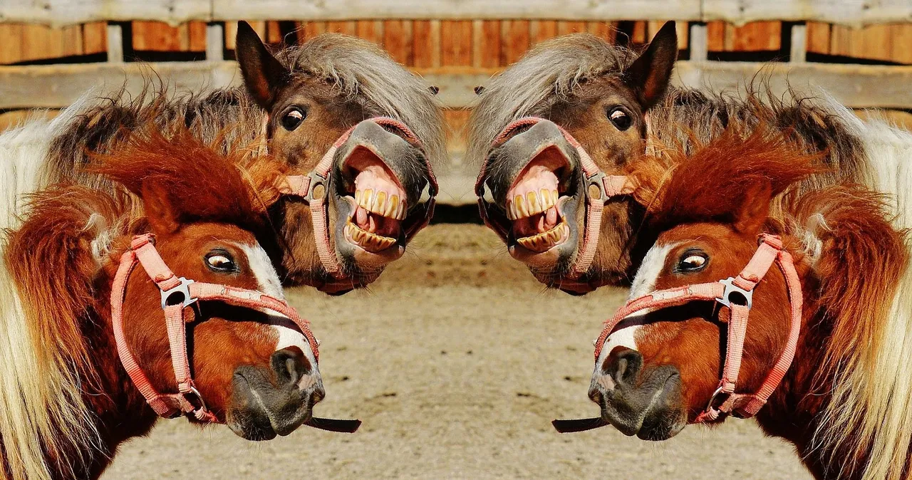 Crazy horses.jpg