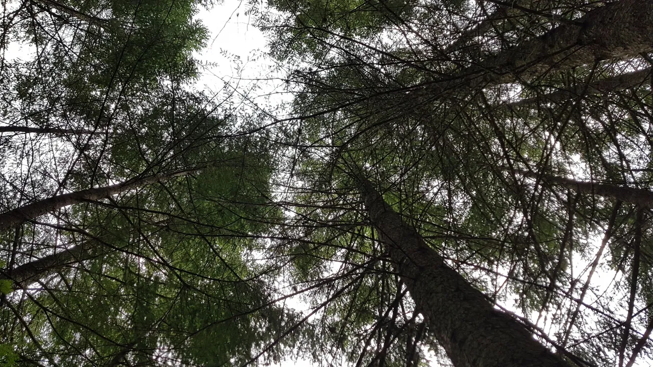 20220411_124417.jpg