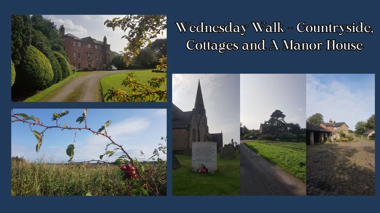 Wednesday walk.jpg