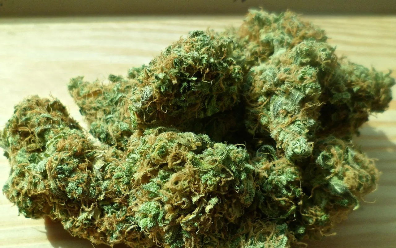 cannabis-448661_1920.jpg