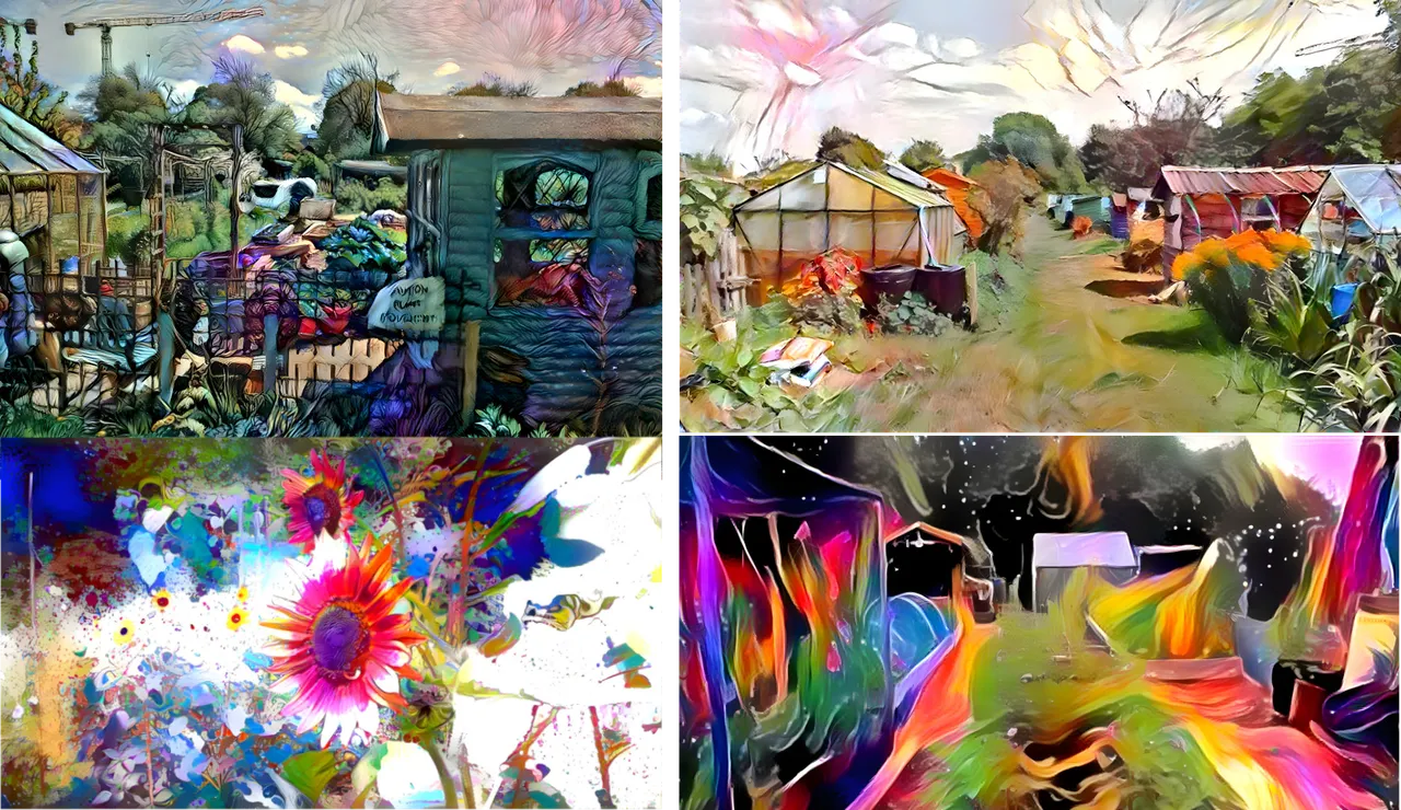 TrippyAllotment Collage.png
