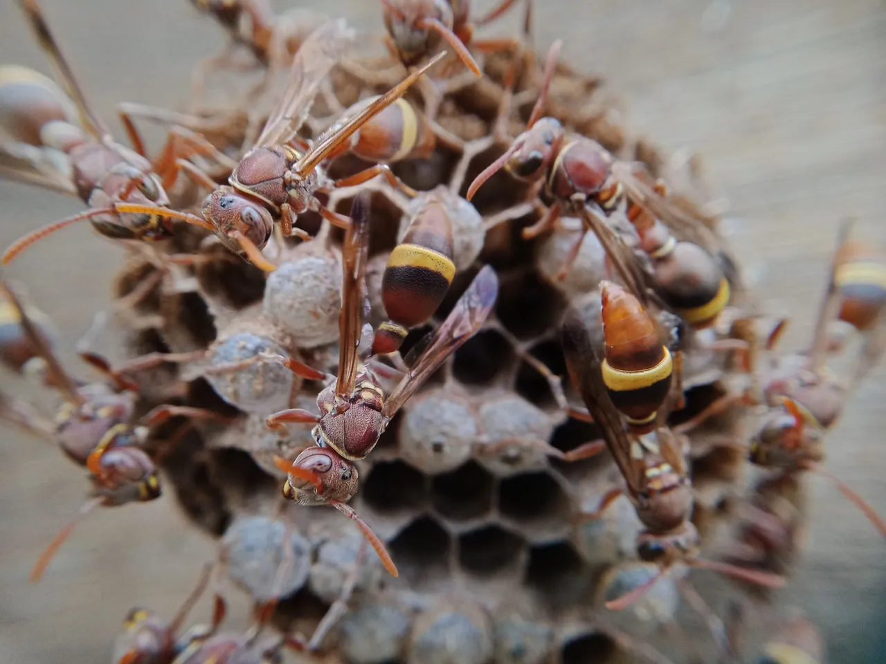 IMG20240516165336.jpg