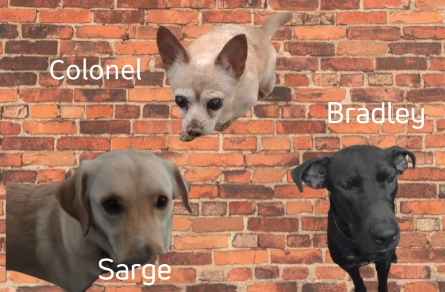 Colonel-Sarge-Bradley.png
