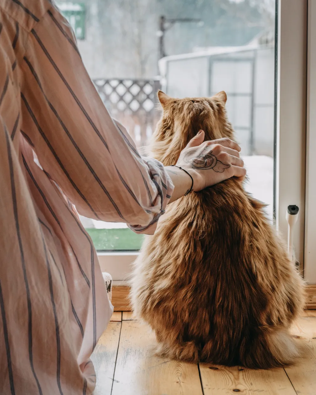 cat and lady.jpg