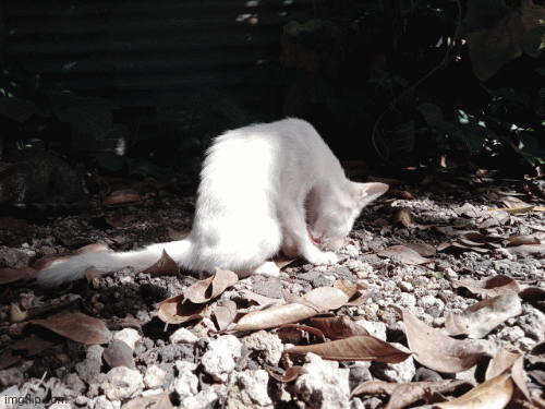 9y3dn3.gif