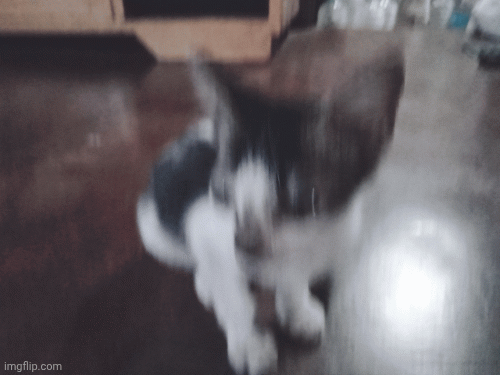 9y3ds9.gif