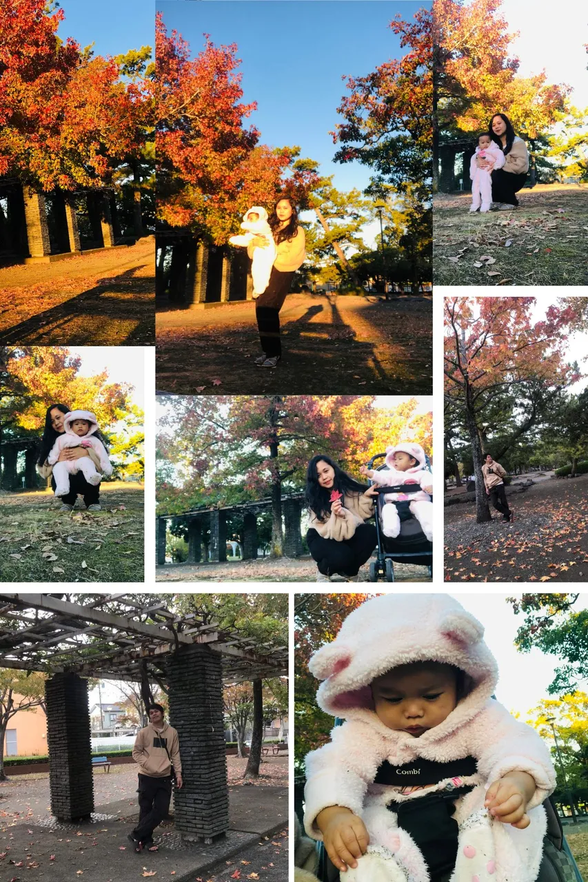 autumn vibes.png