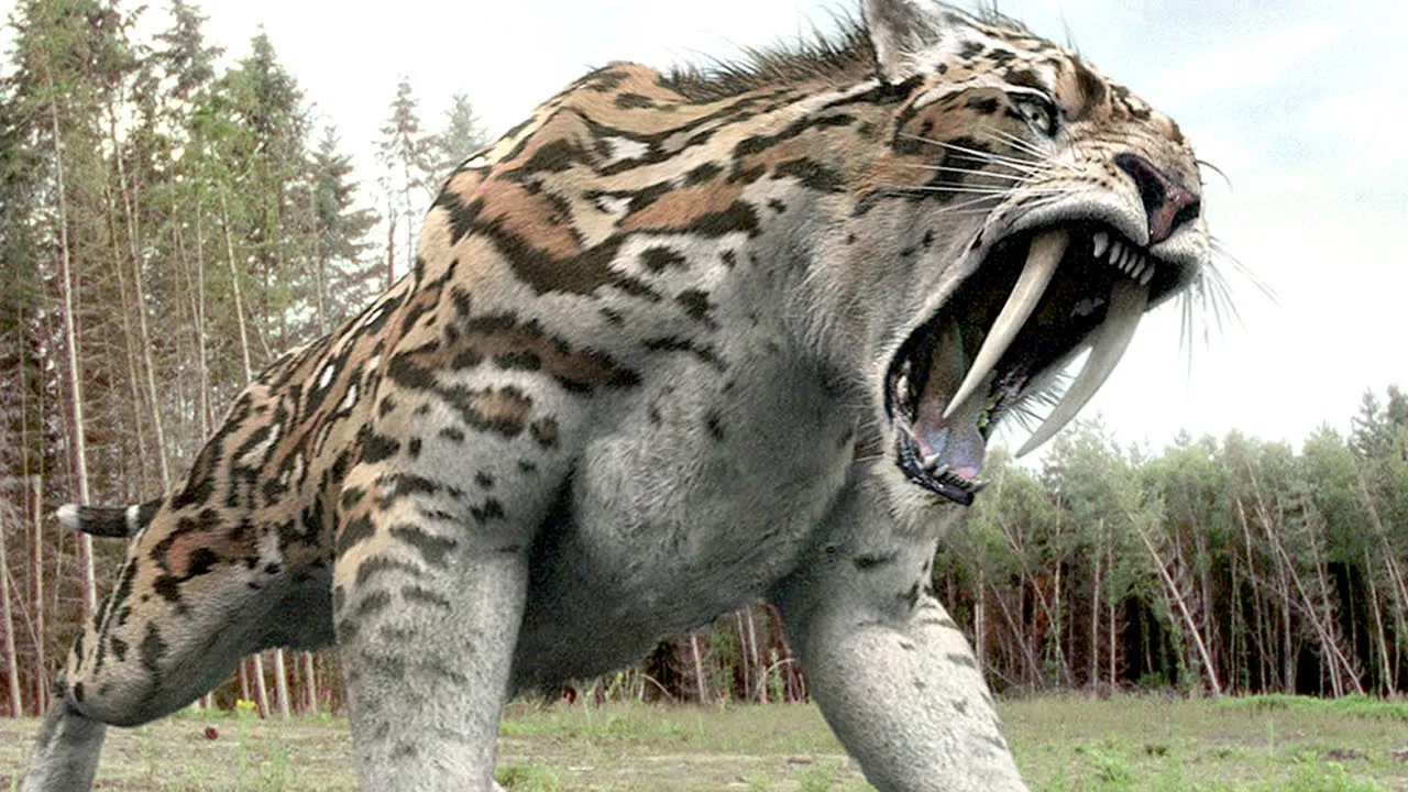 wildlife.jpg