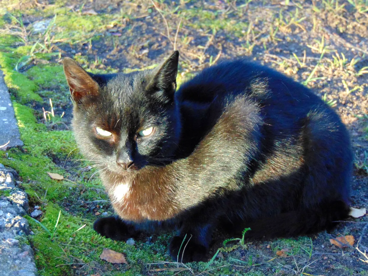 DSC00531-.JPG