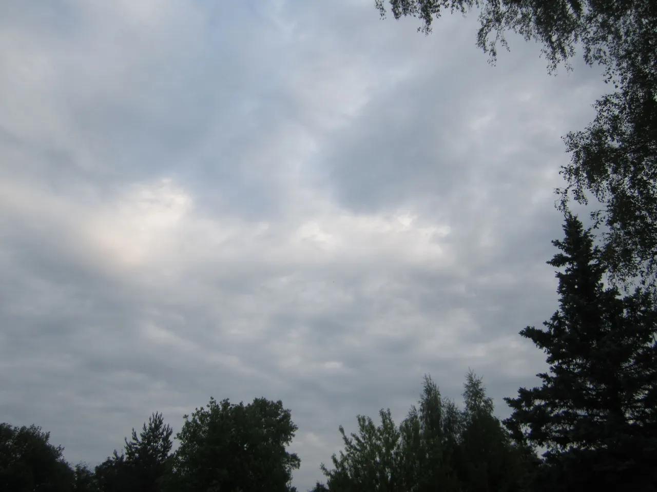 IMG_6550.JPG