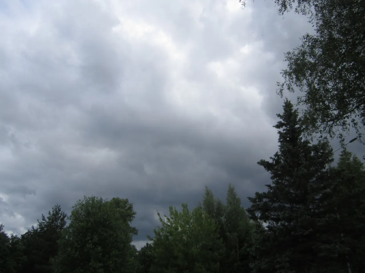 IMG_7087.JPG