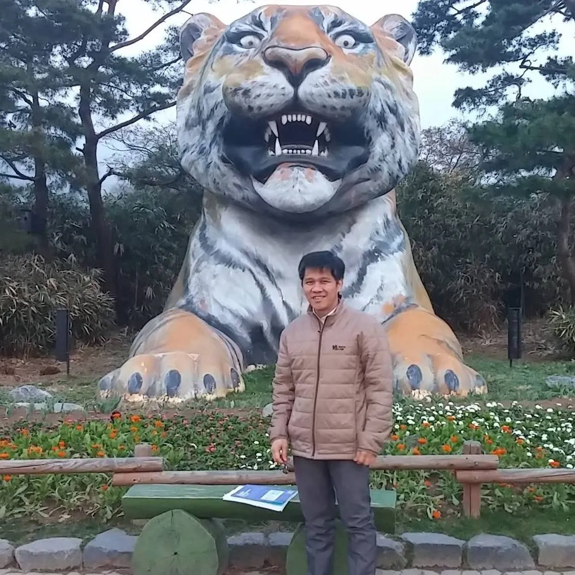 GiantTigerGwacheon.jpg