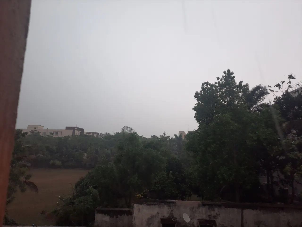 20250418_093543.jpg