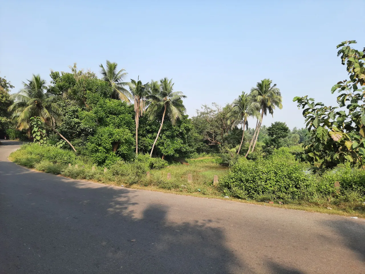 085845.jpg