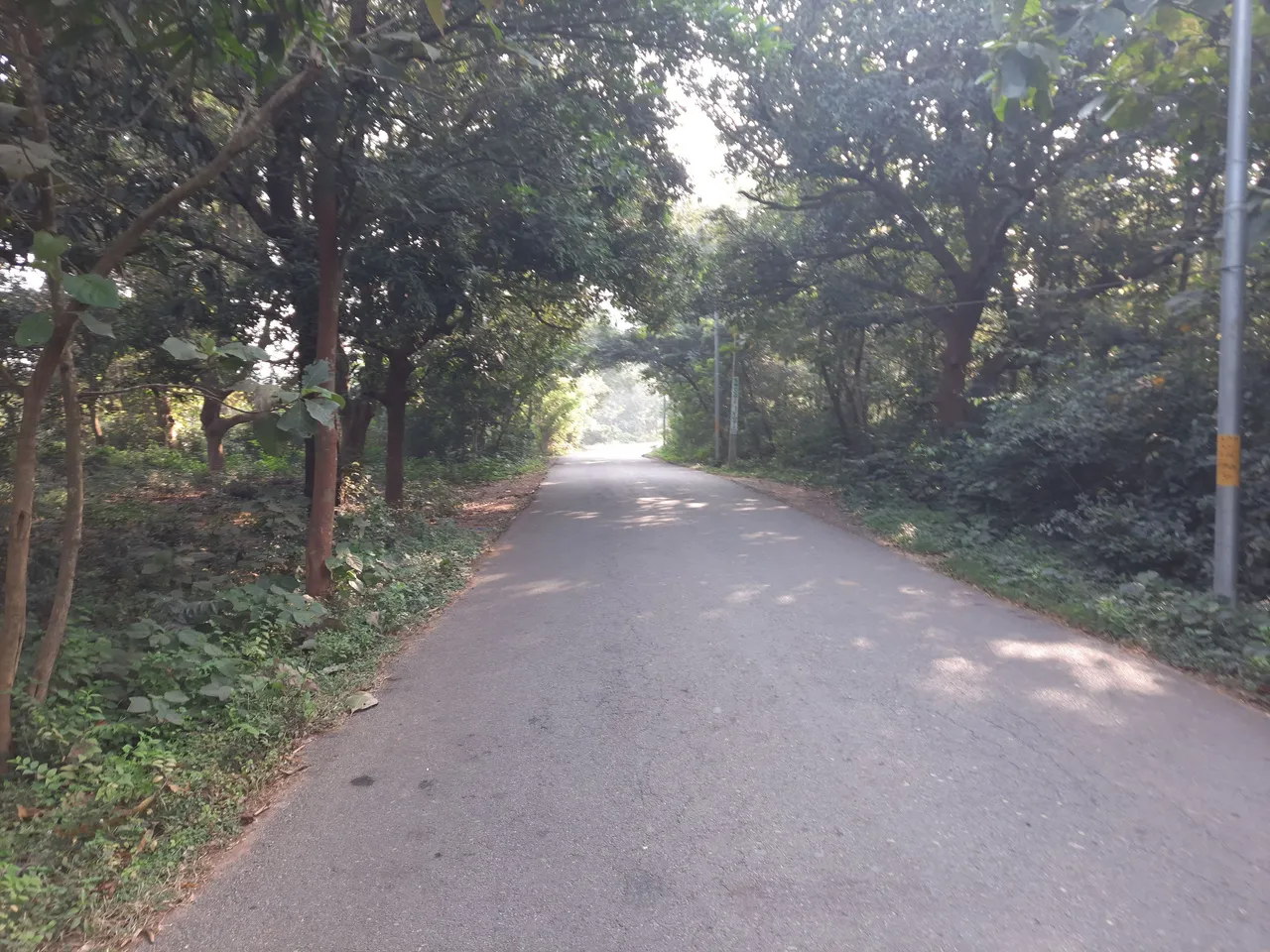 081000.jpg