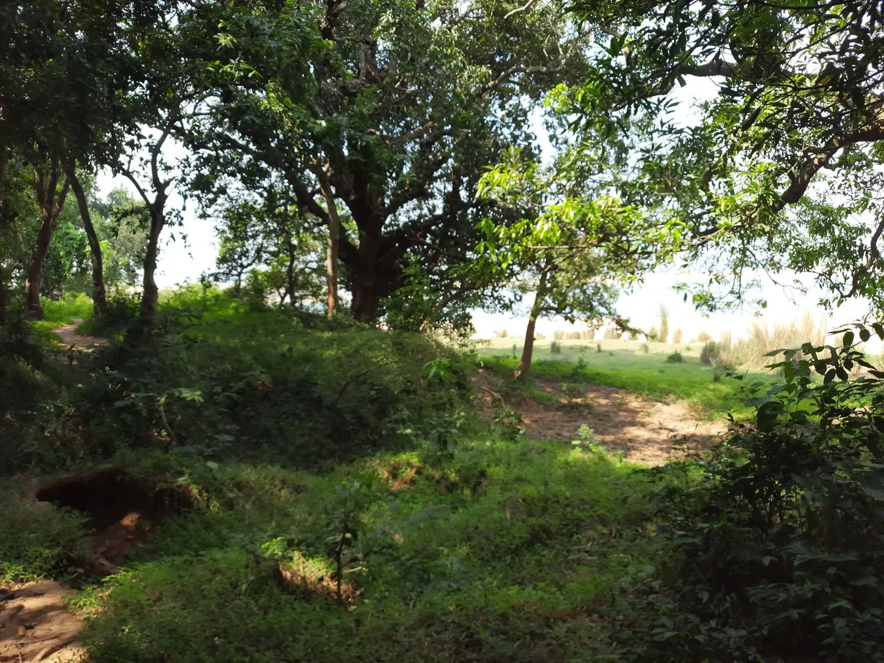 20211030_113905.jpg