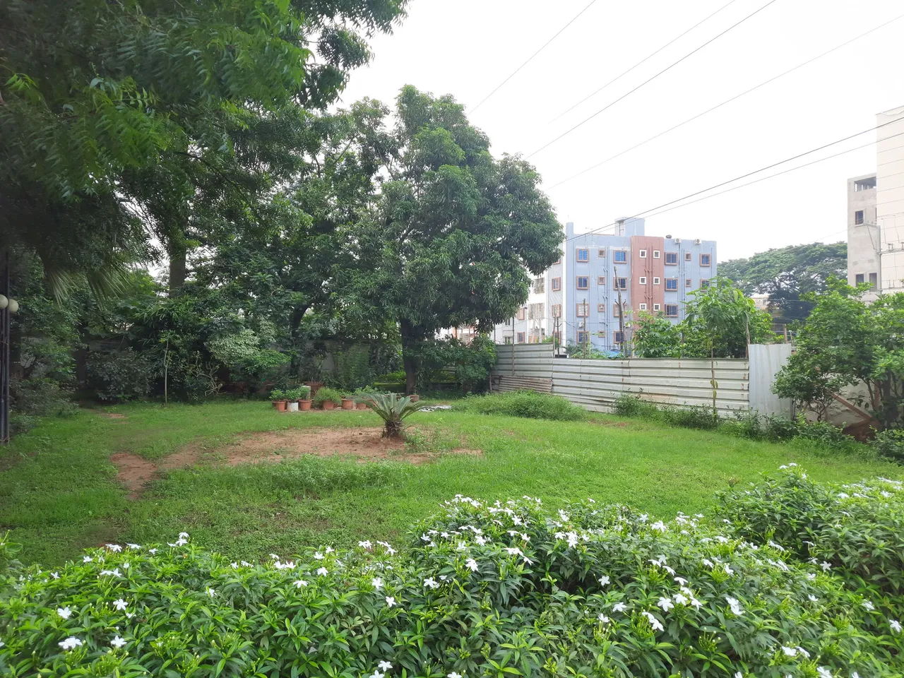 20250711_061136.jpg