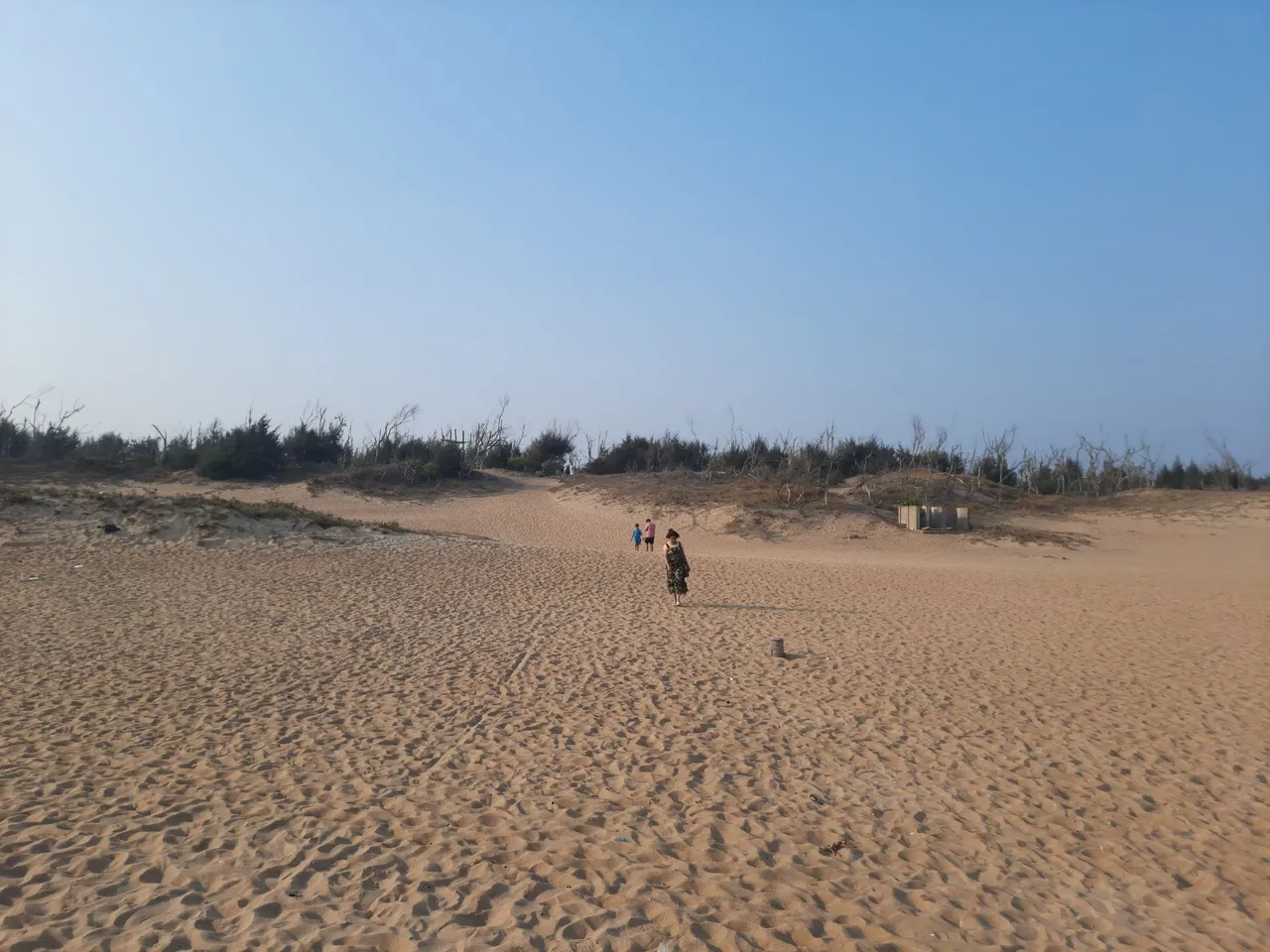 20220316_162054.jpg