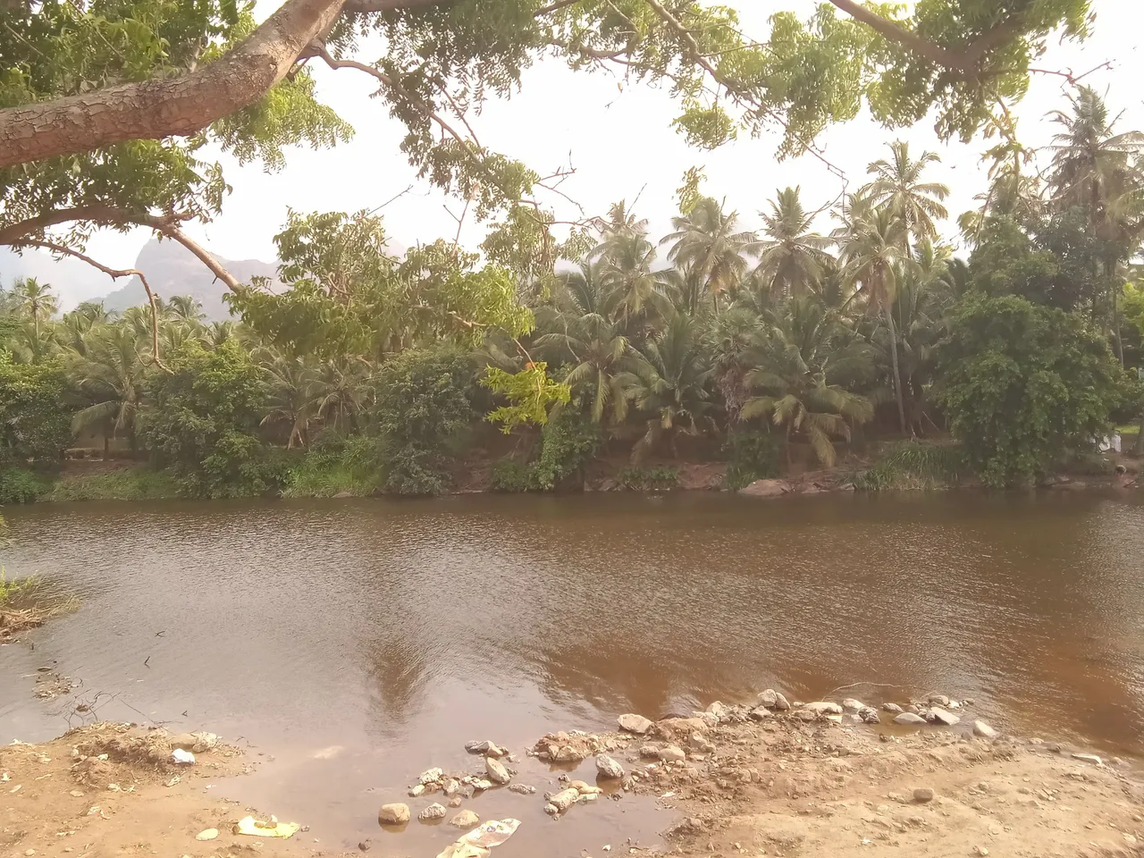 IMG20230530161708.jpg