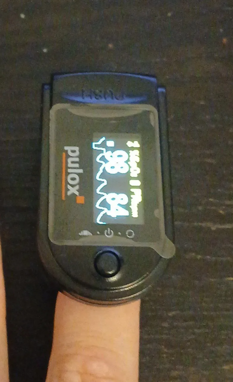 5420387094674661040.jpg