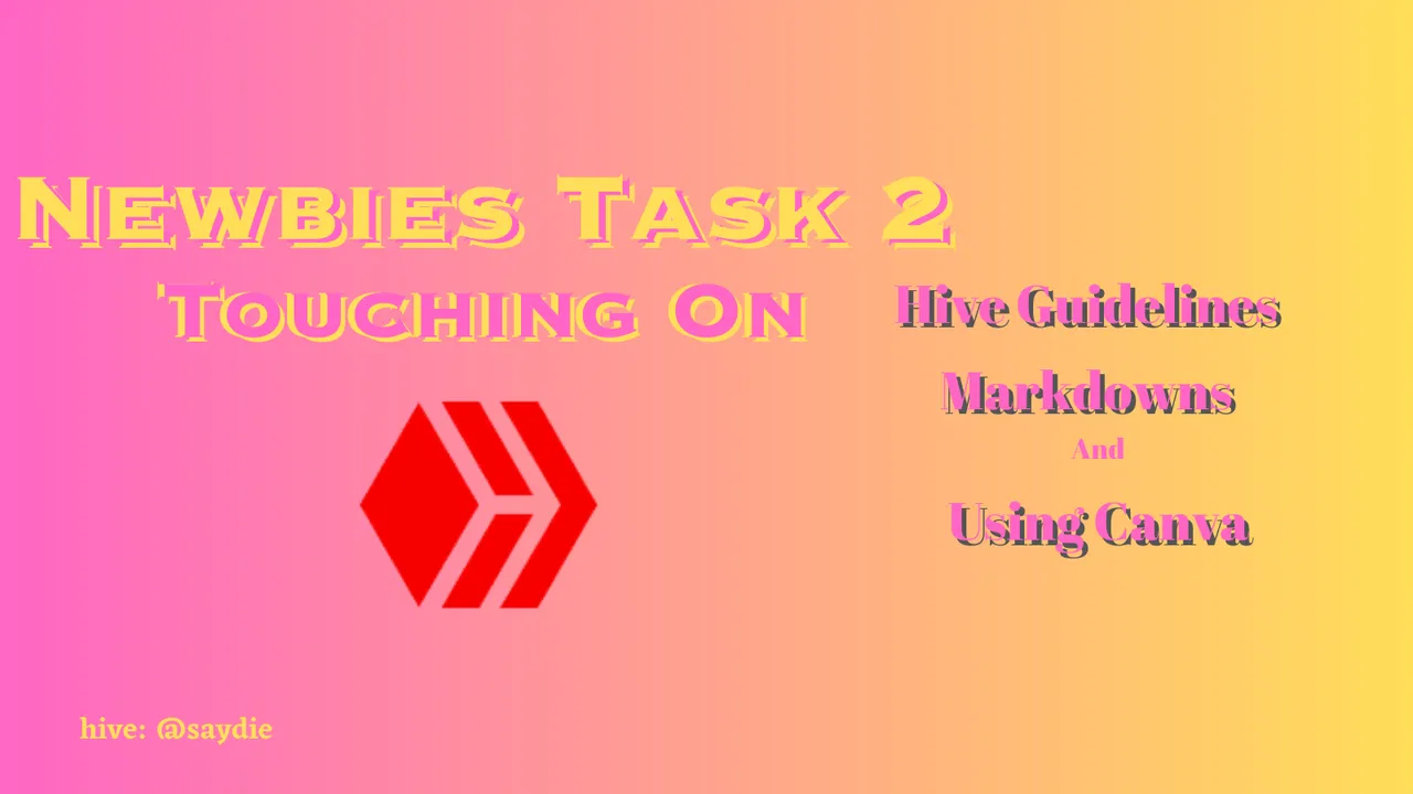 Newbies Task 2 (1).png