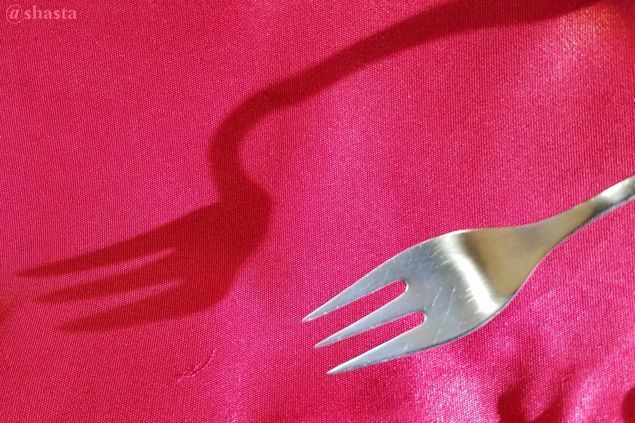 shasta2021june30th47fork1io.jpg