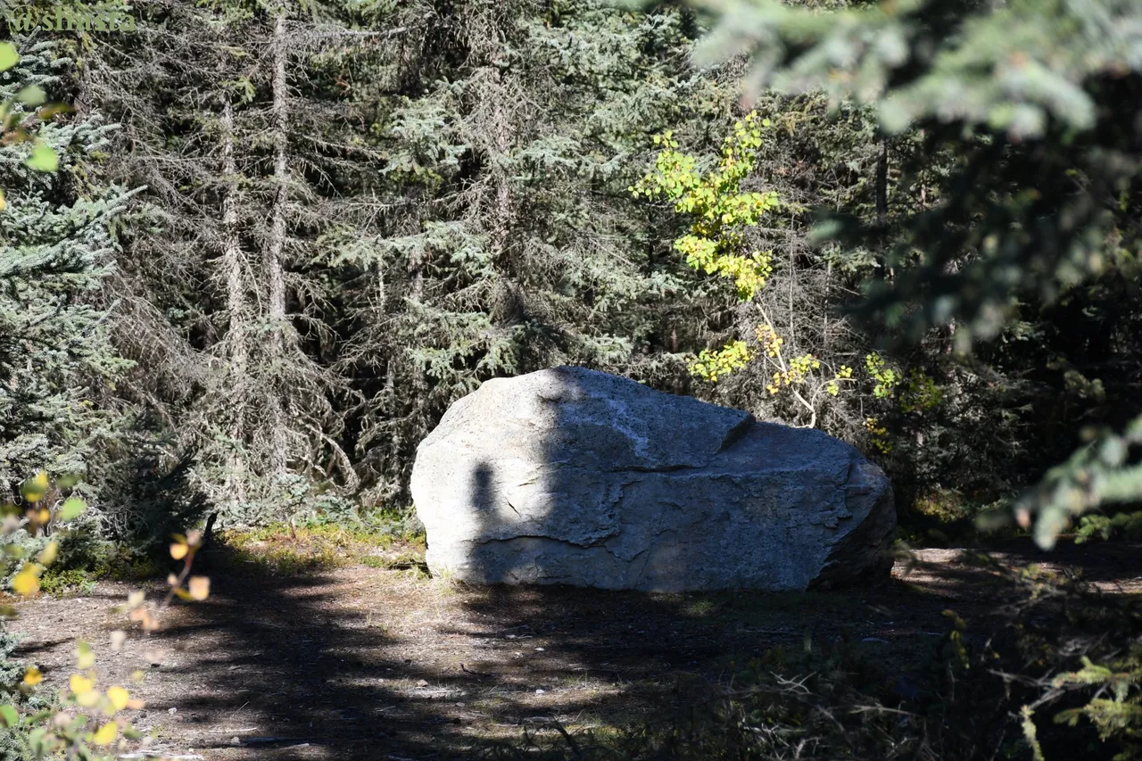 shasta2021july23rd47boulders1io.jpg