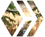 shasta2023april28th47hive804io.png