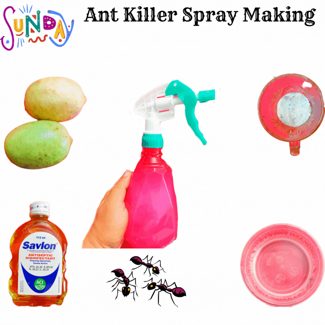 Ant Killer Spray.gif