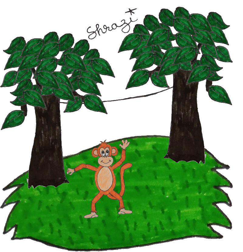 monkey playing GIF