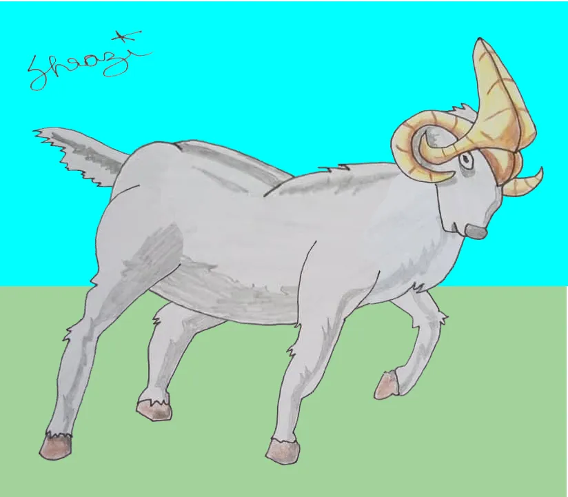 finaldrawing.jpg