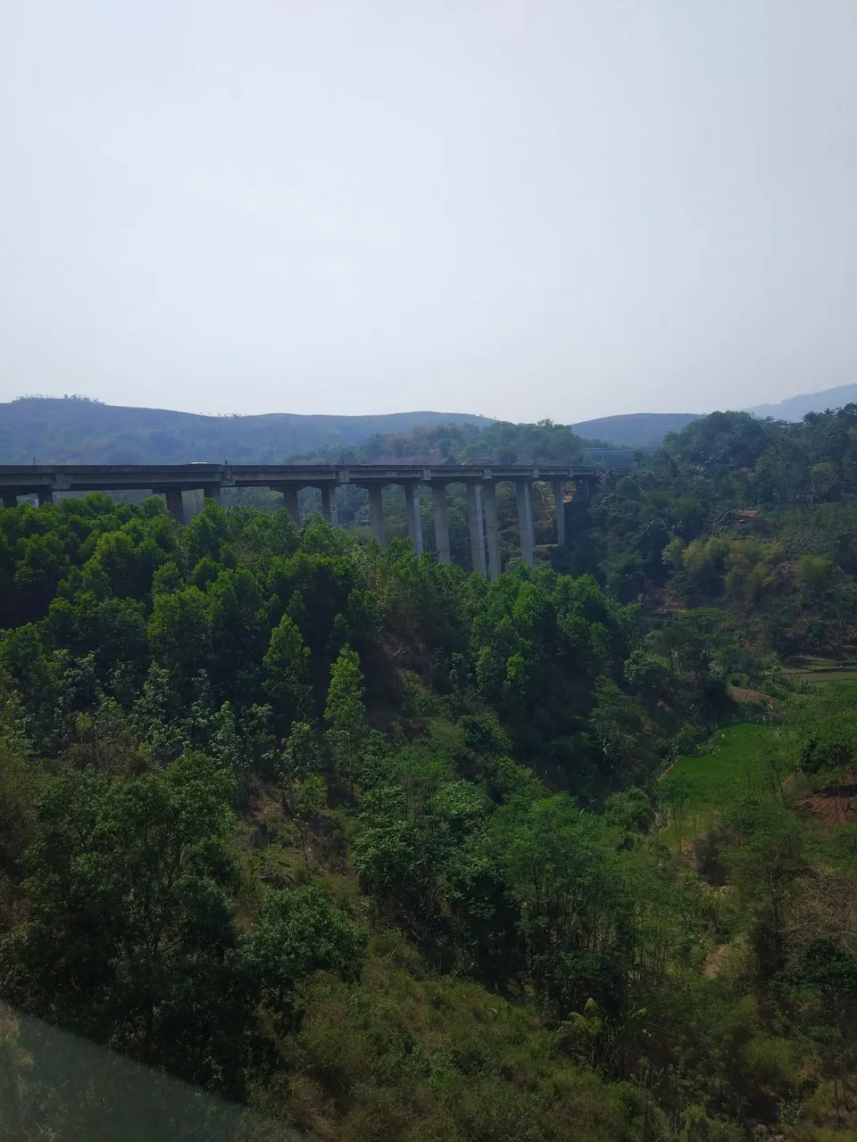 m_IMG_20191023_091640b.jpg