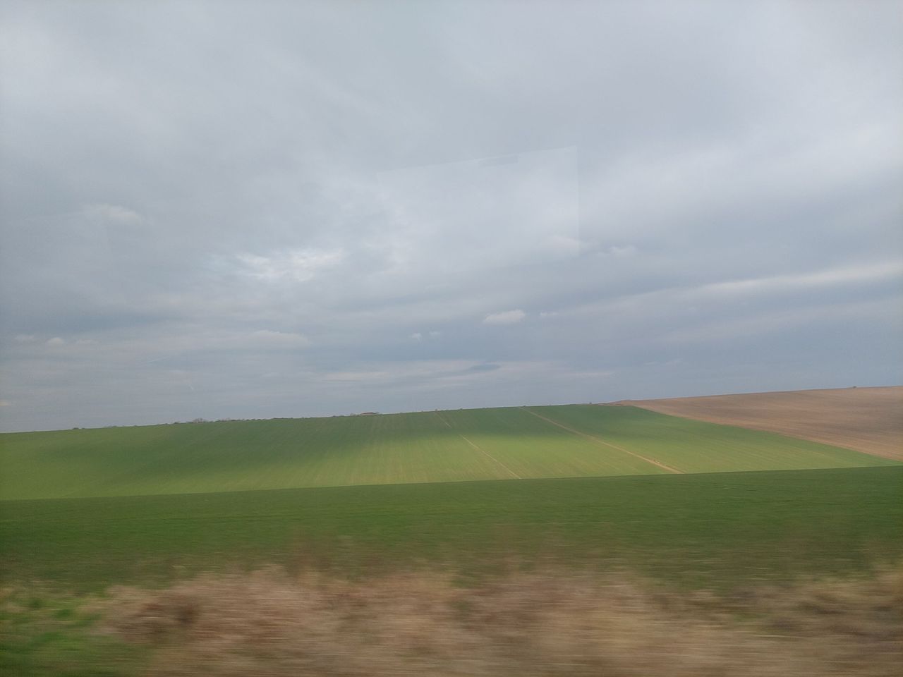 20220107_112215.jpg
