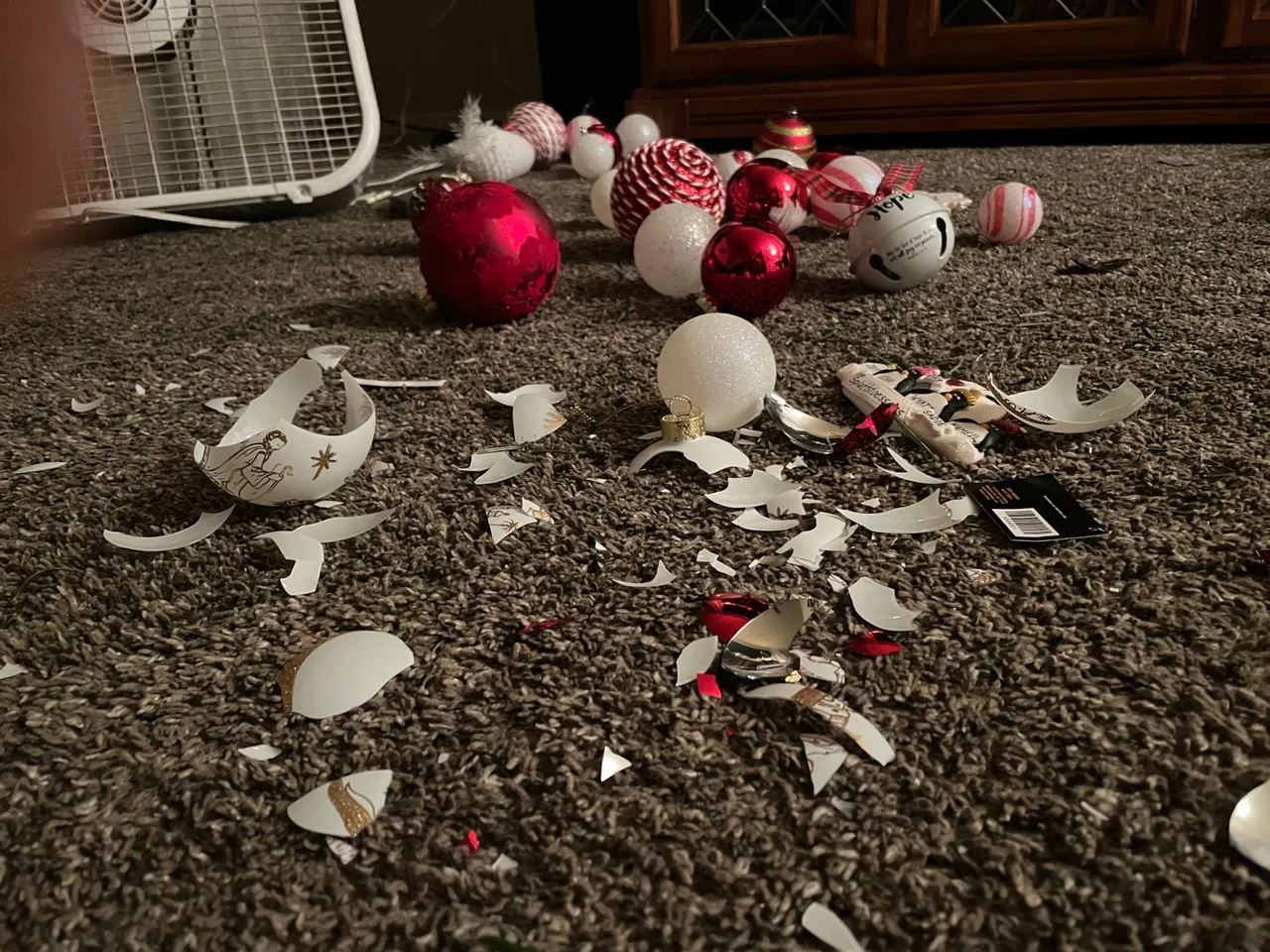 3BC23181-F1A7-4756-8AB4-956A3B638957.jpeg
