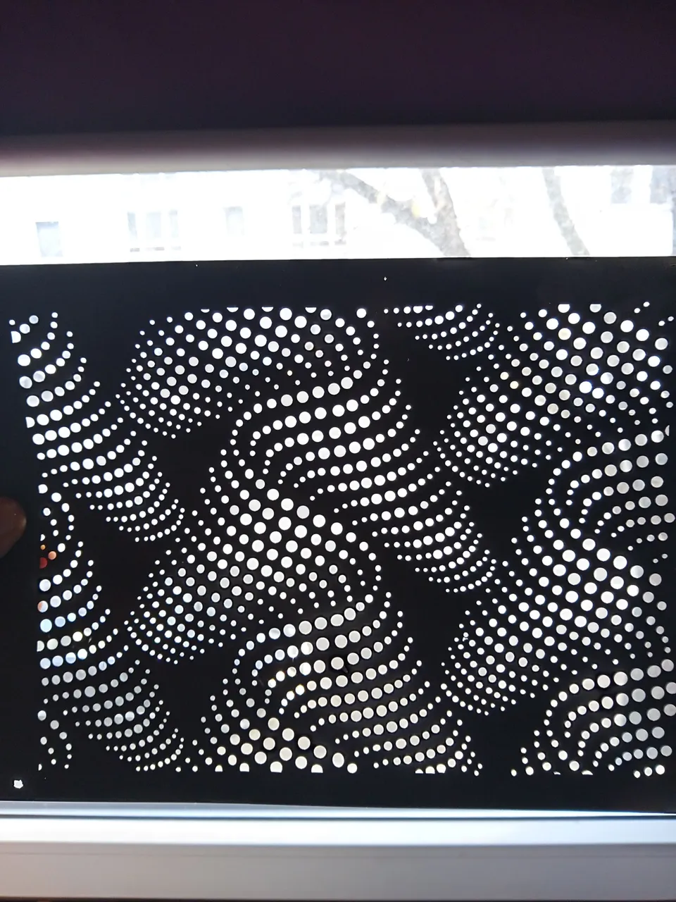 20231209_135125_HDR.jpg