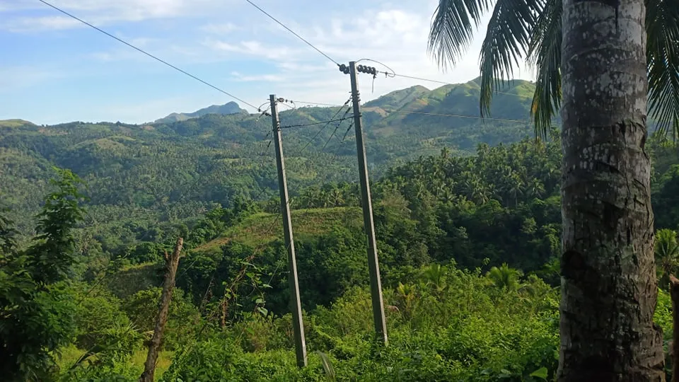 received_463688512589380.jpeg