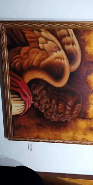 video_1740247372999.gif