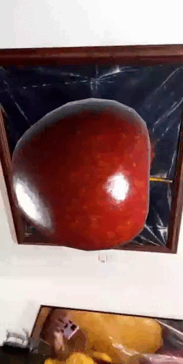 video_1740247726238.gif